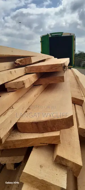 Wood Management