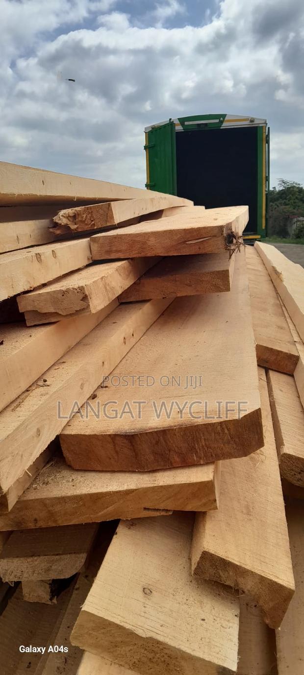 Wood Management - thumbnail 2
