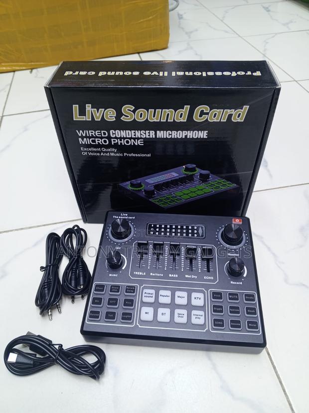 V9 Portable Audio Interface With Bluetooth and Echo Effects - main view