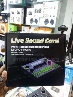 V9 Portable Audio Interface With Bluetooth and Echo Effects