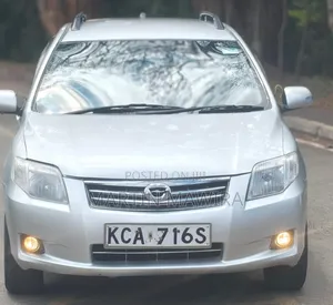 Toyota Corolla Fielder 2008 Silver