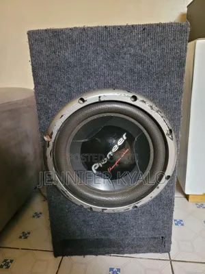 Pioneer Speaker