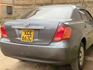 Toyota Axio 1.5 X 2WD 2009 Gray