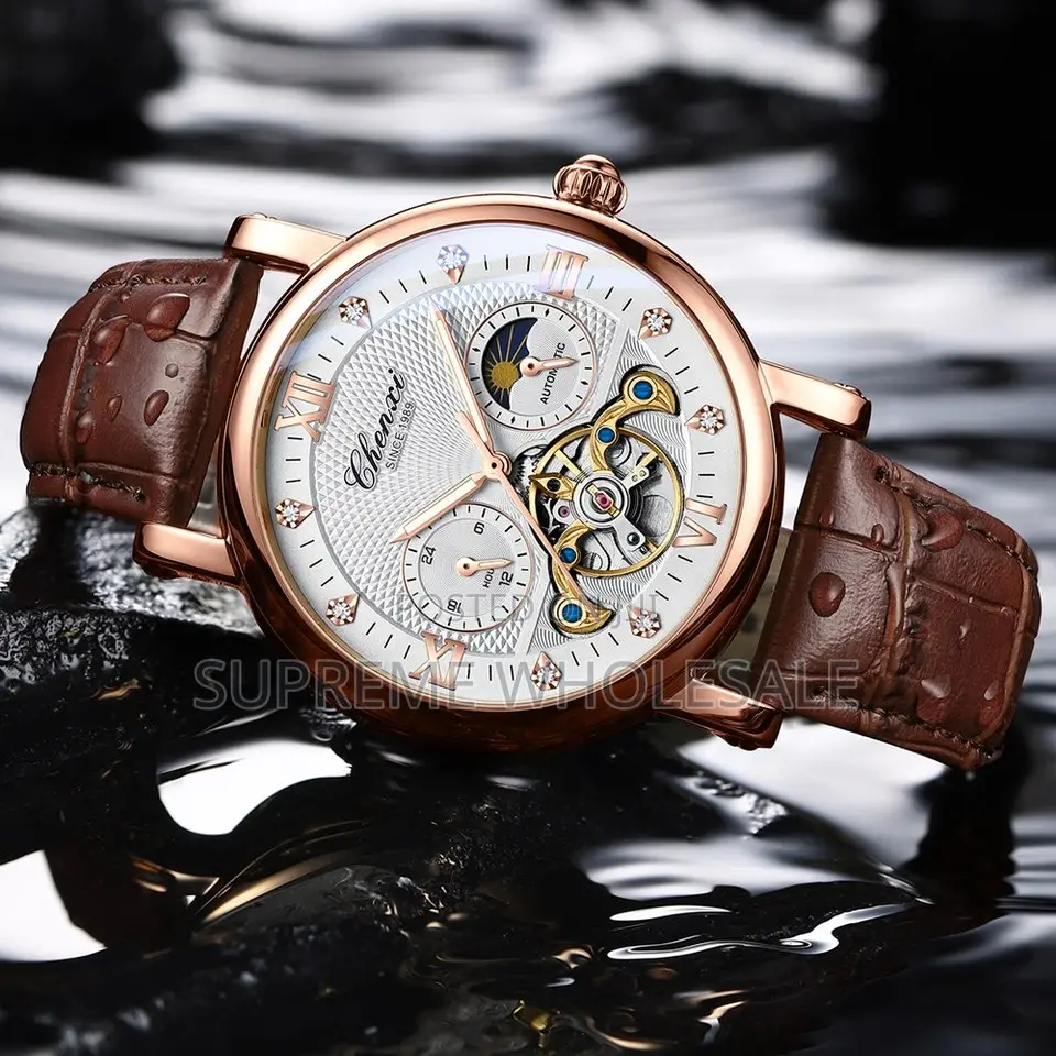 CHENXI 8876 Luxury Automatic Watch - Moon Phase & Tourbillon