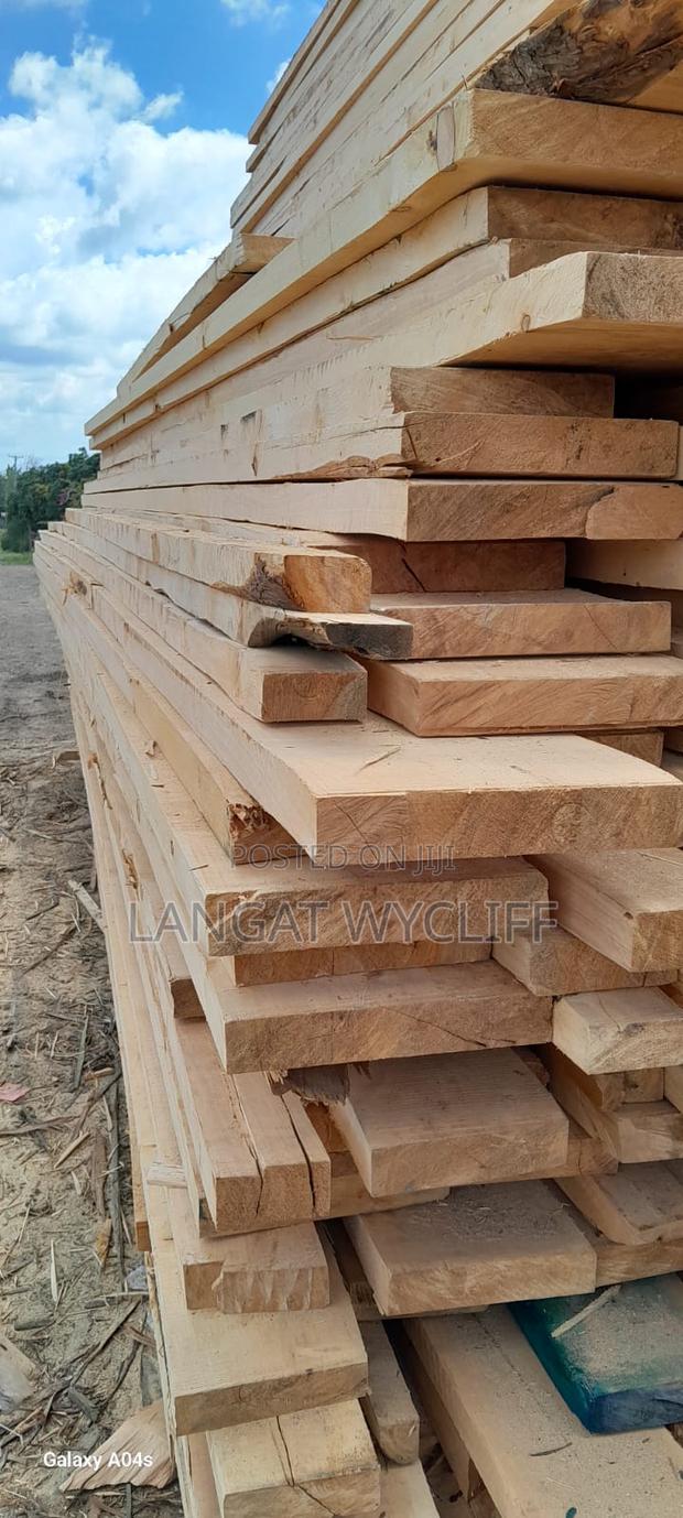 Forest Materials - main view