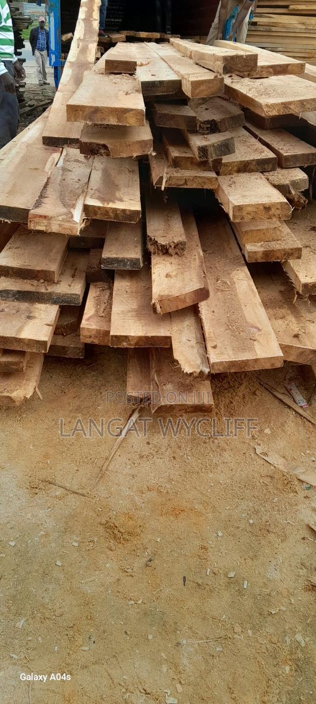 Forest Materials - thumbnail 2