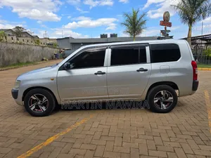 Toyota Probox 2011 Silver
