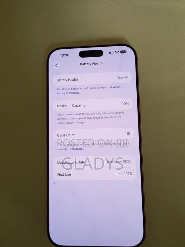 Apple iPhone 17 Pro Max 256 GB Orange - thumbnail 3