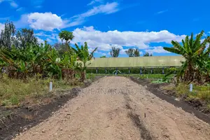 Orchard,Kinanie Plots for Sale^Bw