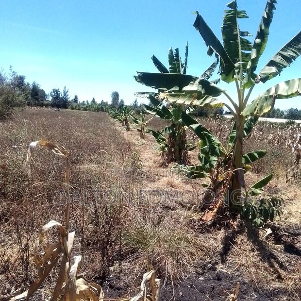 Land for Sale - main view