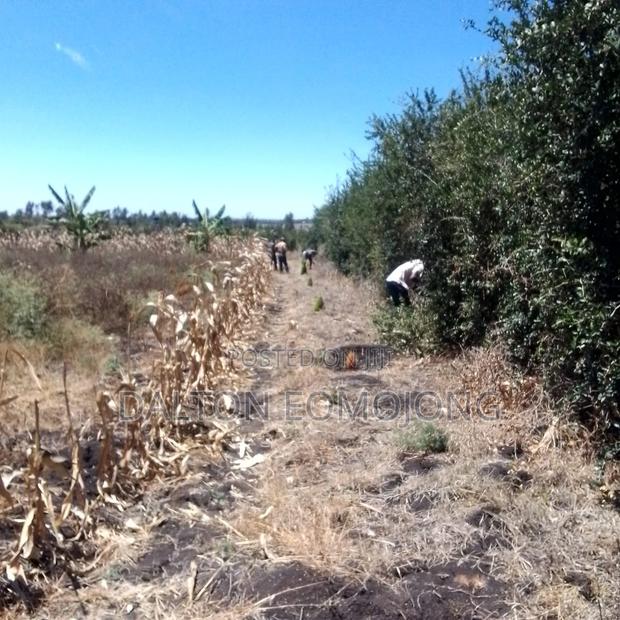 Land for Sale - thumbnail 2
