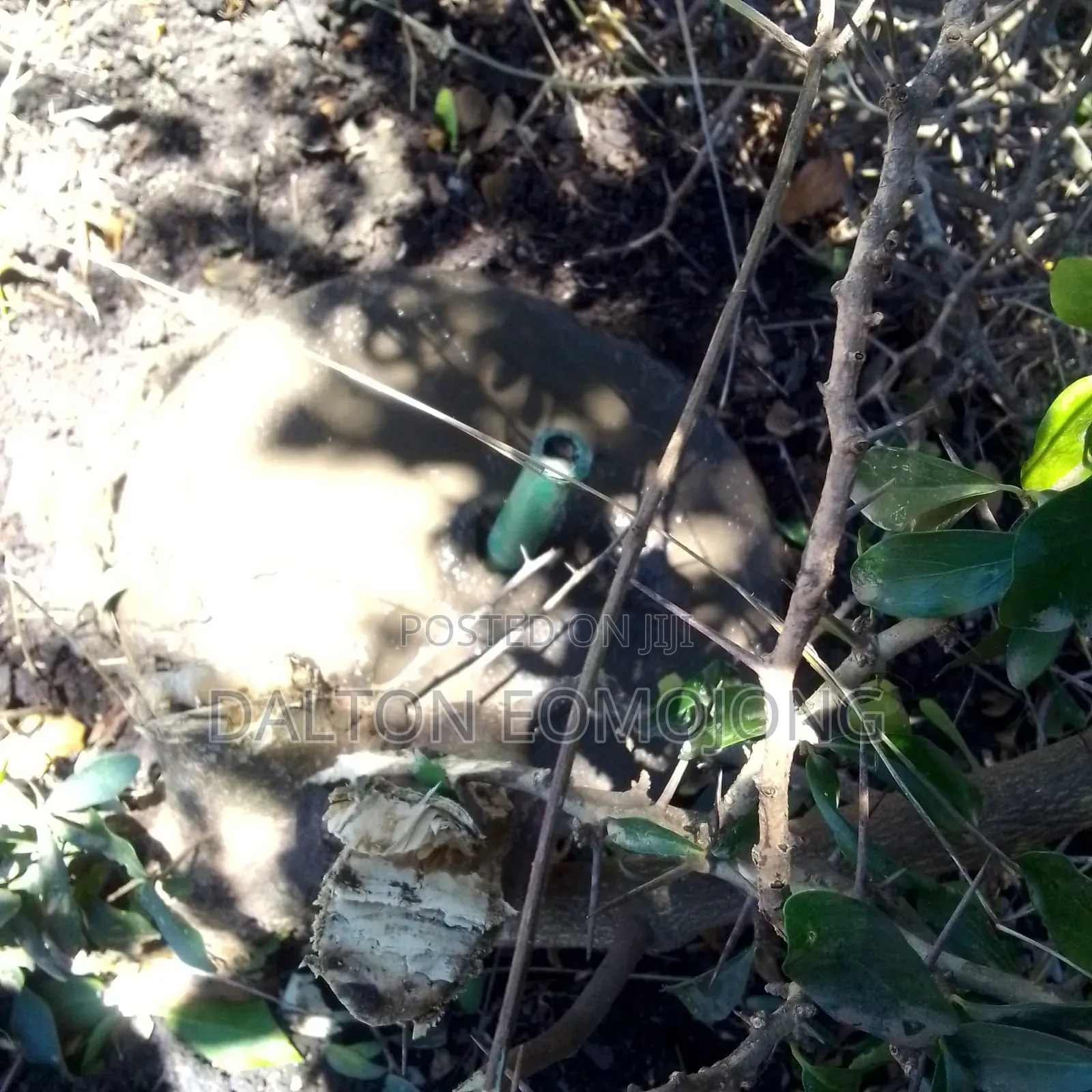 Land for Sale