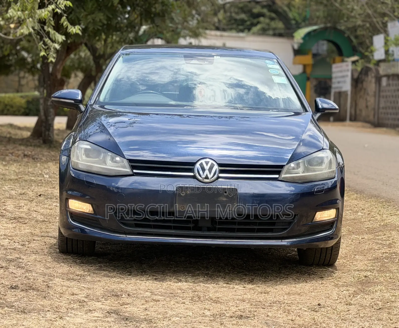 Volkswagen Golf 2013 Blue