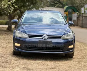 Volkswagen Golf 2013 Blue