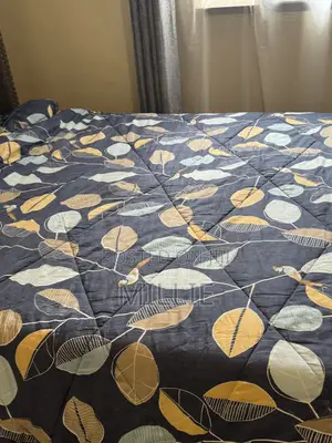 Duvet, a Bedsheet and Two Pillow Cases
