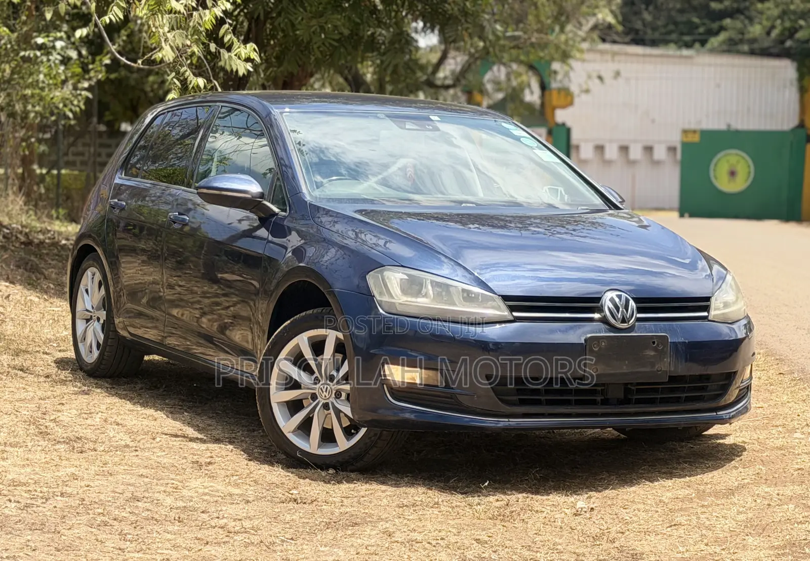 Volkswagen Golf 2013 Blue