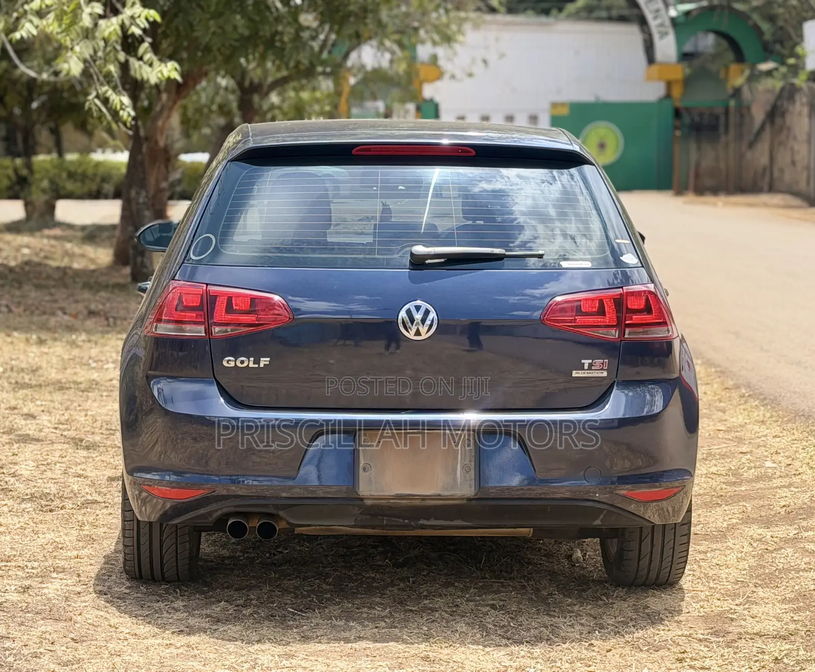 Volkswagen Golf 2013 Blue