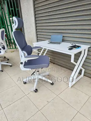 Ergonomic Office Chair and Office Desk