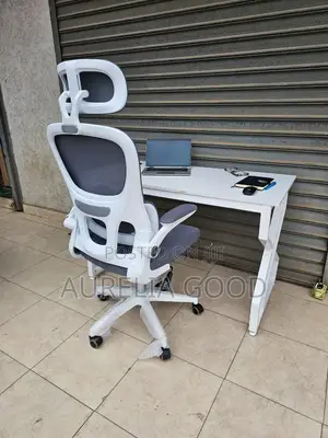 Ergonomic Office Chair and Office Desk