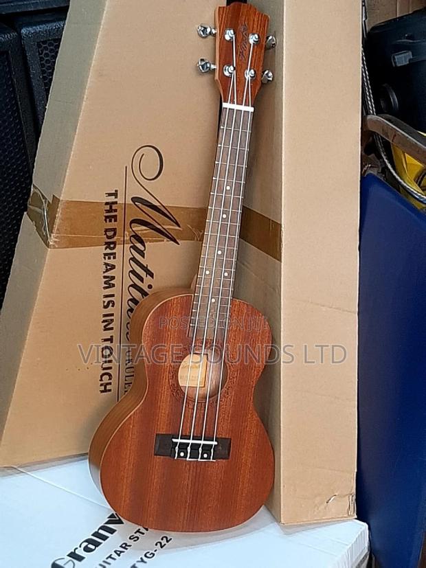 Ukulele Guitar - main view