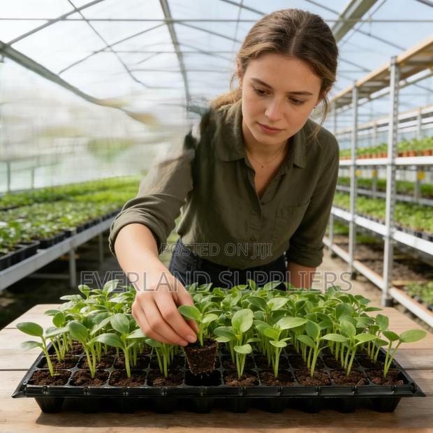 Efficient Greenhouse Propagation Trays - main view