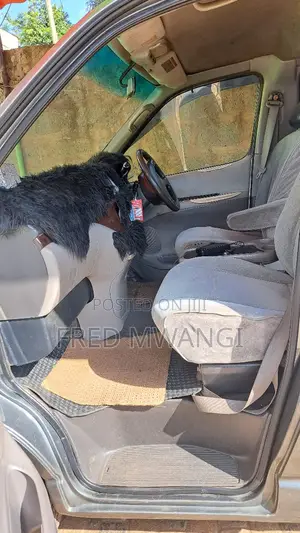 Toyota HiAce 2002 Grey