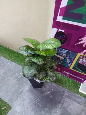 Small Artificial Plant