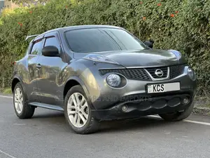 Nissan Juke S 2011 Gray