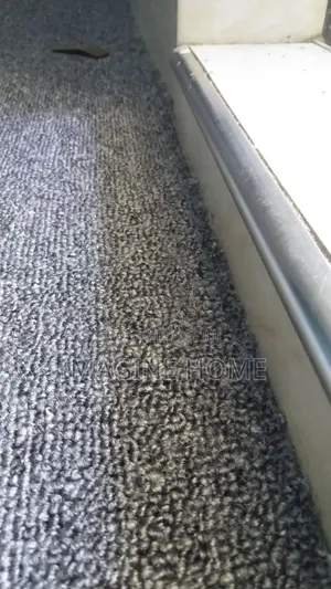 Mat of Everyday Use Wall to Wall Carpet