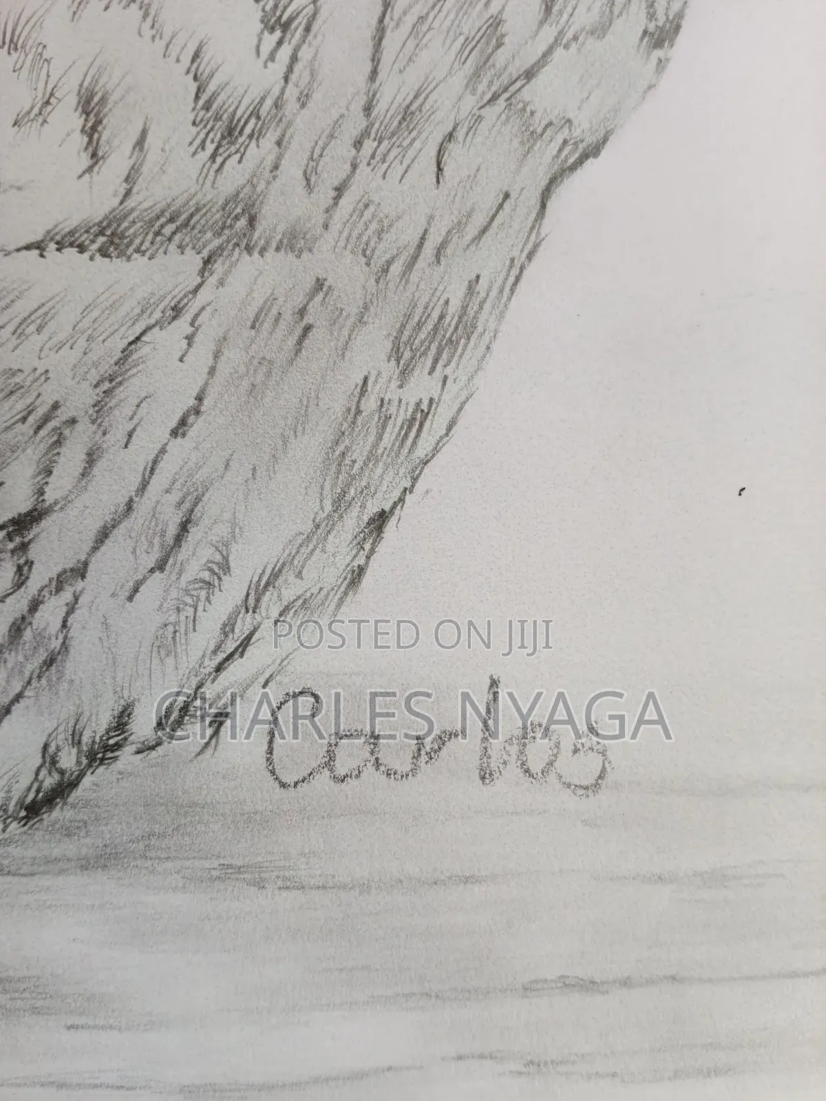 Kindred Kings-Graphite Pencil Drawing
