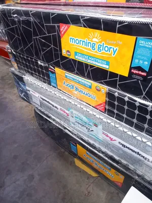 6by6 6inches Morning Glory Mattress