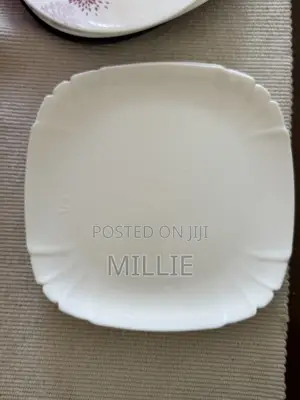 12 Luminarc Plates