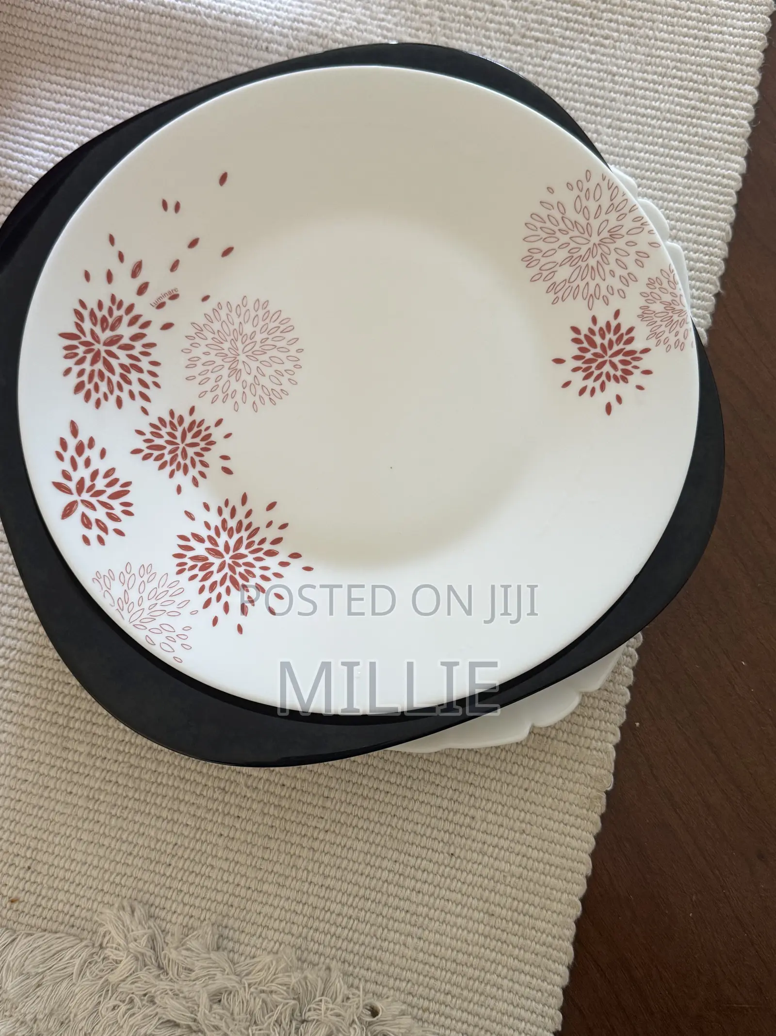 12 Luminarc Plates