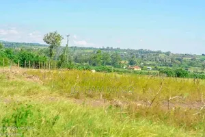 Prime Plot in Naishi