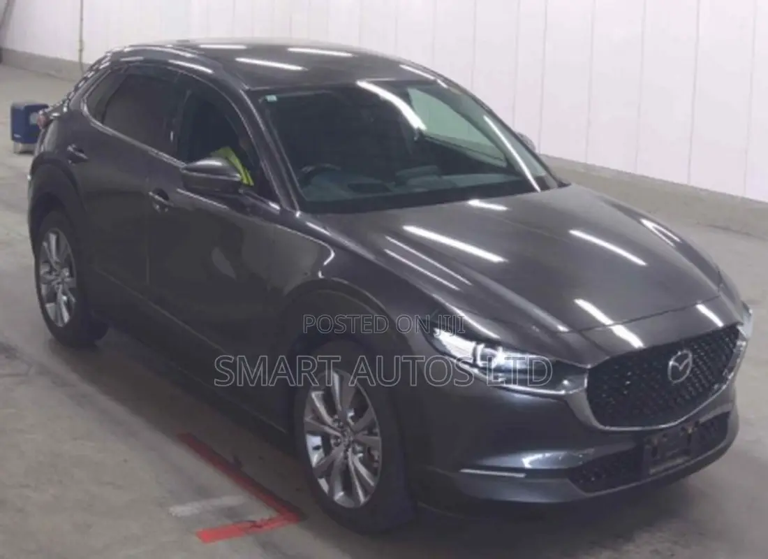Mazda CX-30 2019 Gray