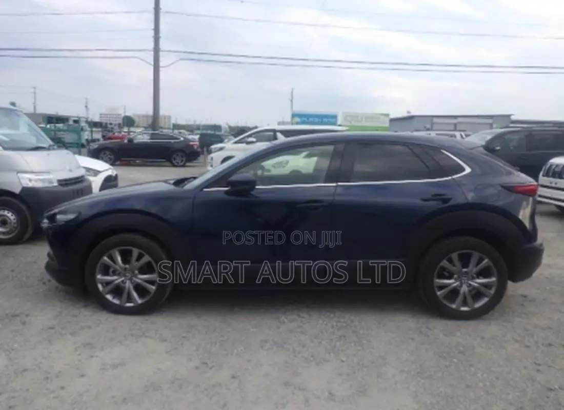 Mazda CX-30 2019 Blue
