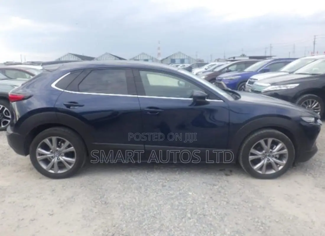 Mazda CX-30 2019 Blue