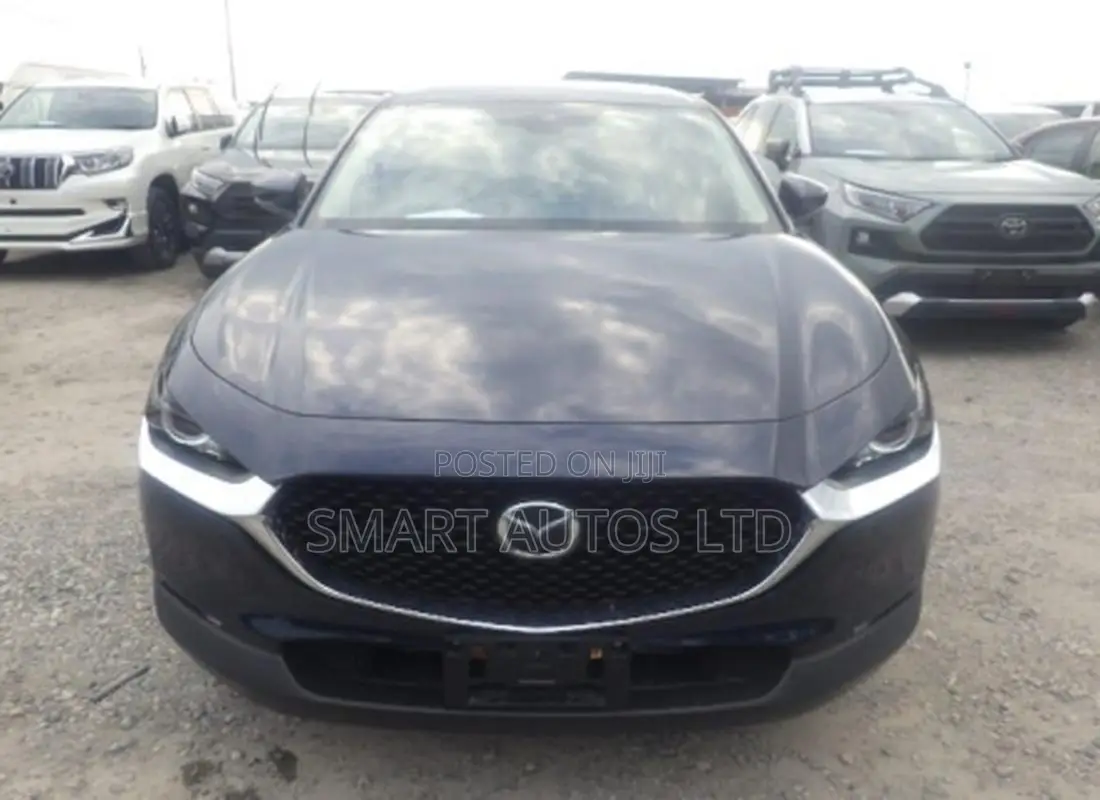 Mazda CX-30 2019 Blue