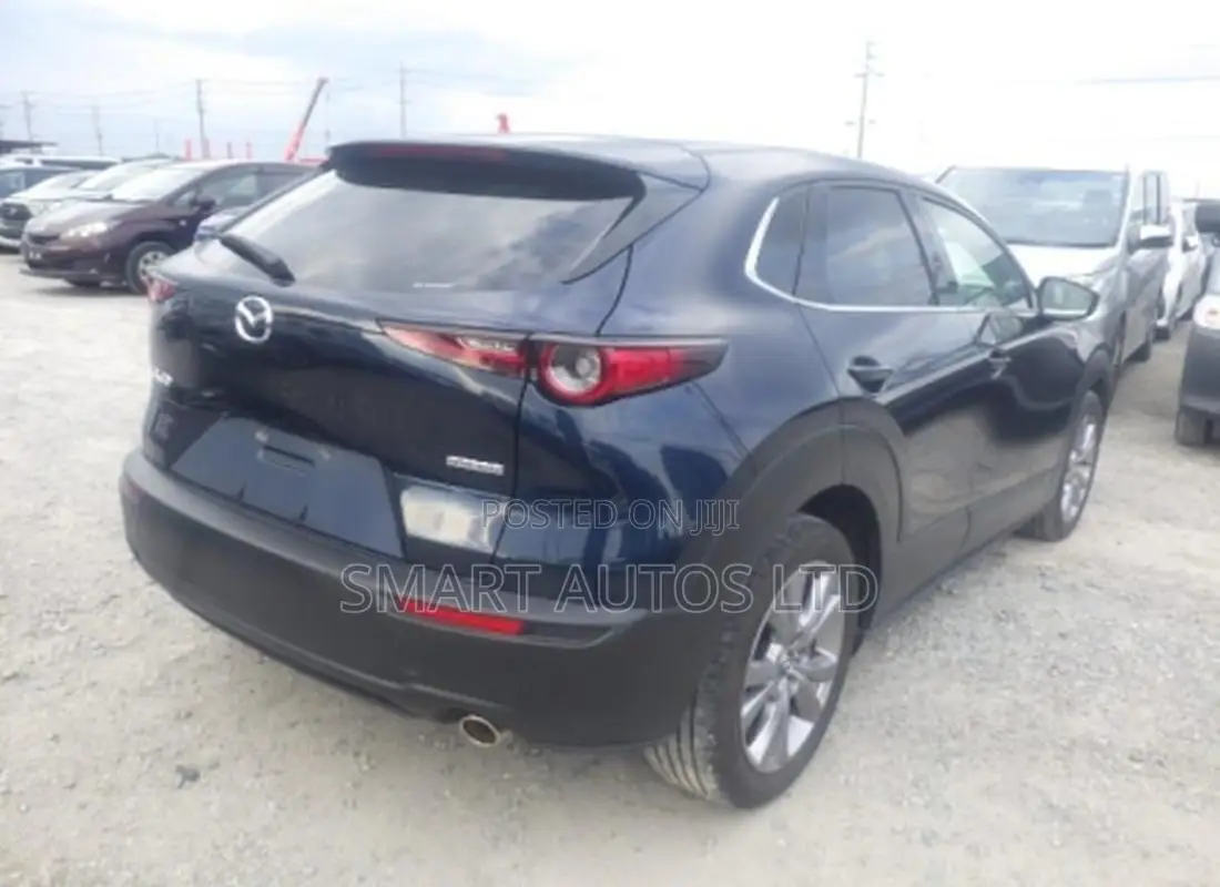 Mazda CX-30 2019 Blue