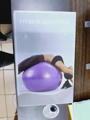 Exercise Ball – Fitness & Rehabilitation Gym Ball