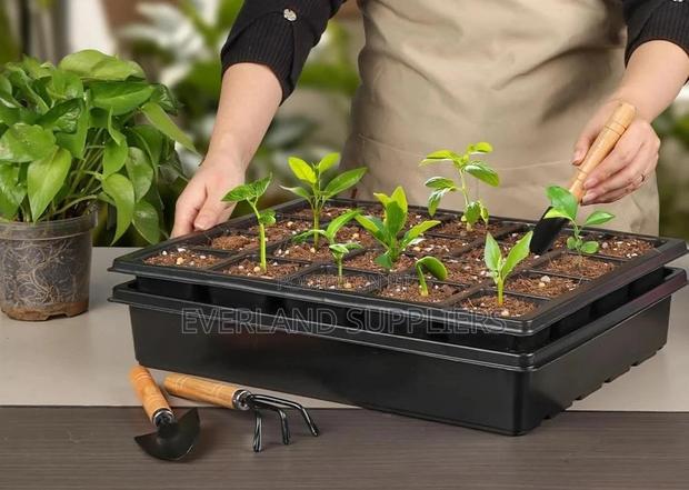 Efficient Nursery Growing Trays