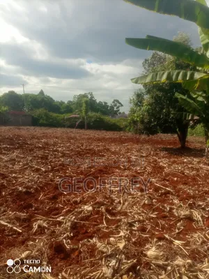 Selling 1/2 Acre in Kiukenda Kiambu County