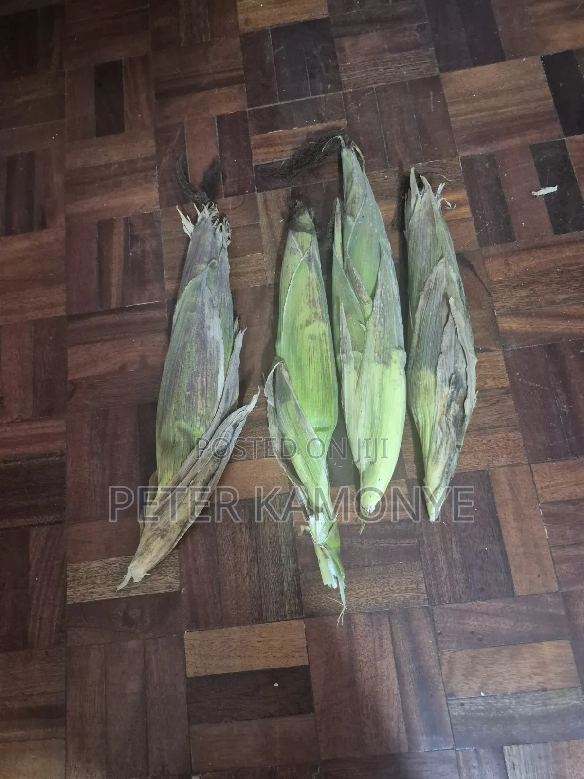 Green Maize