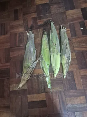Green Maize