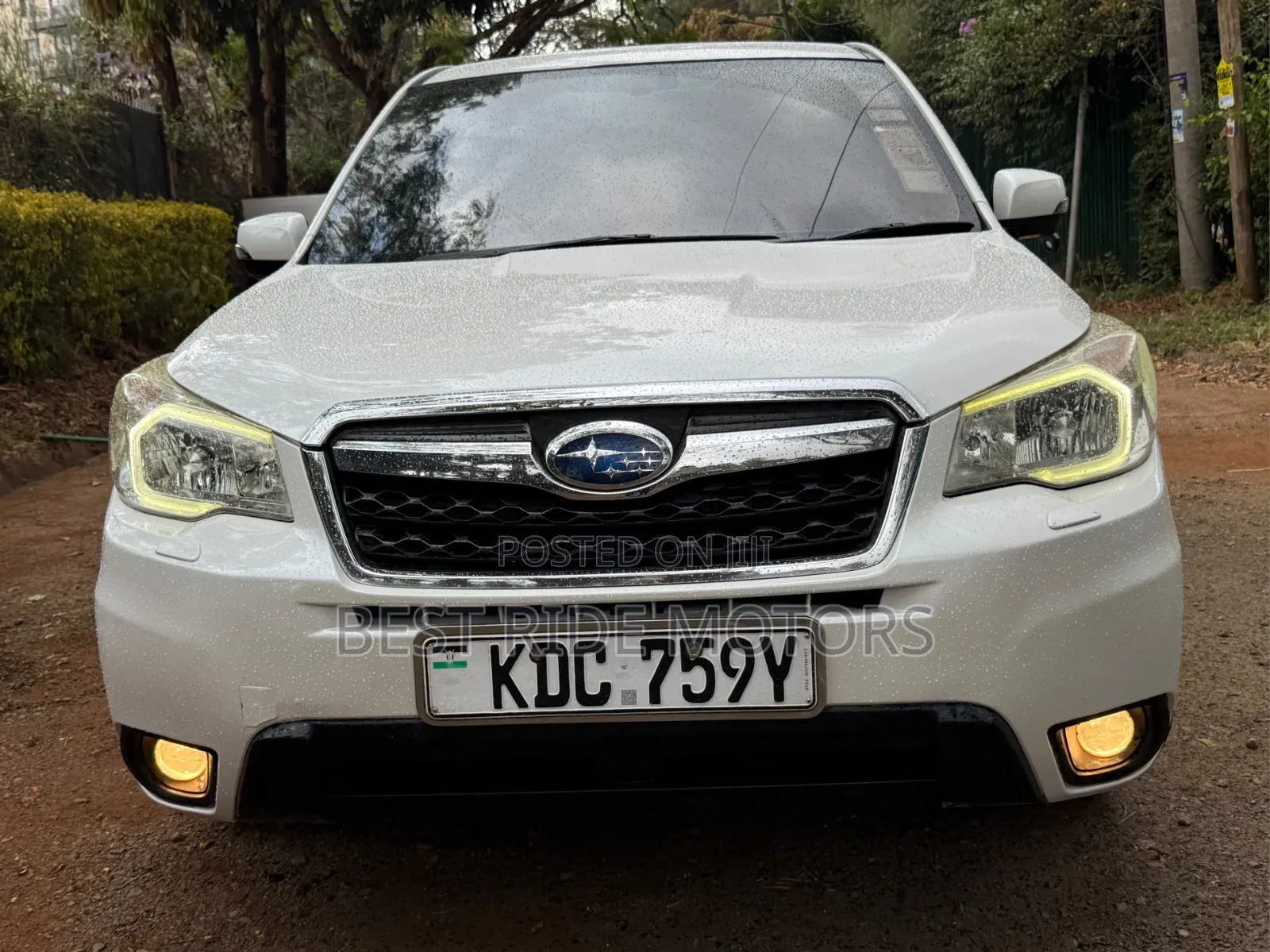 Subaru Forester 2014 White