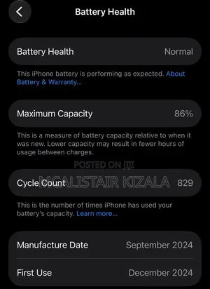 Apple iPhone 16 Pro 256 GB White