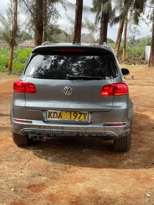 Volkswagen Tiguan 2015 Gray