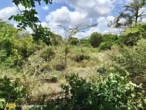 2.5 Acres Forsale in Lamu Near to the Refinery.