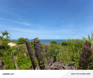 52 Acres Forsale in Malindi Ngomeni First Row or Touching the Ocean.