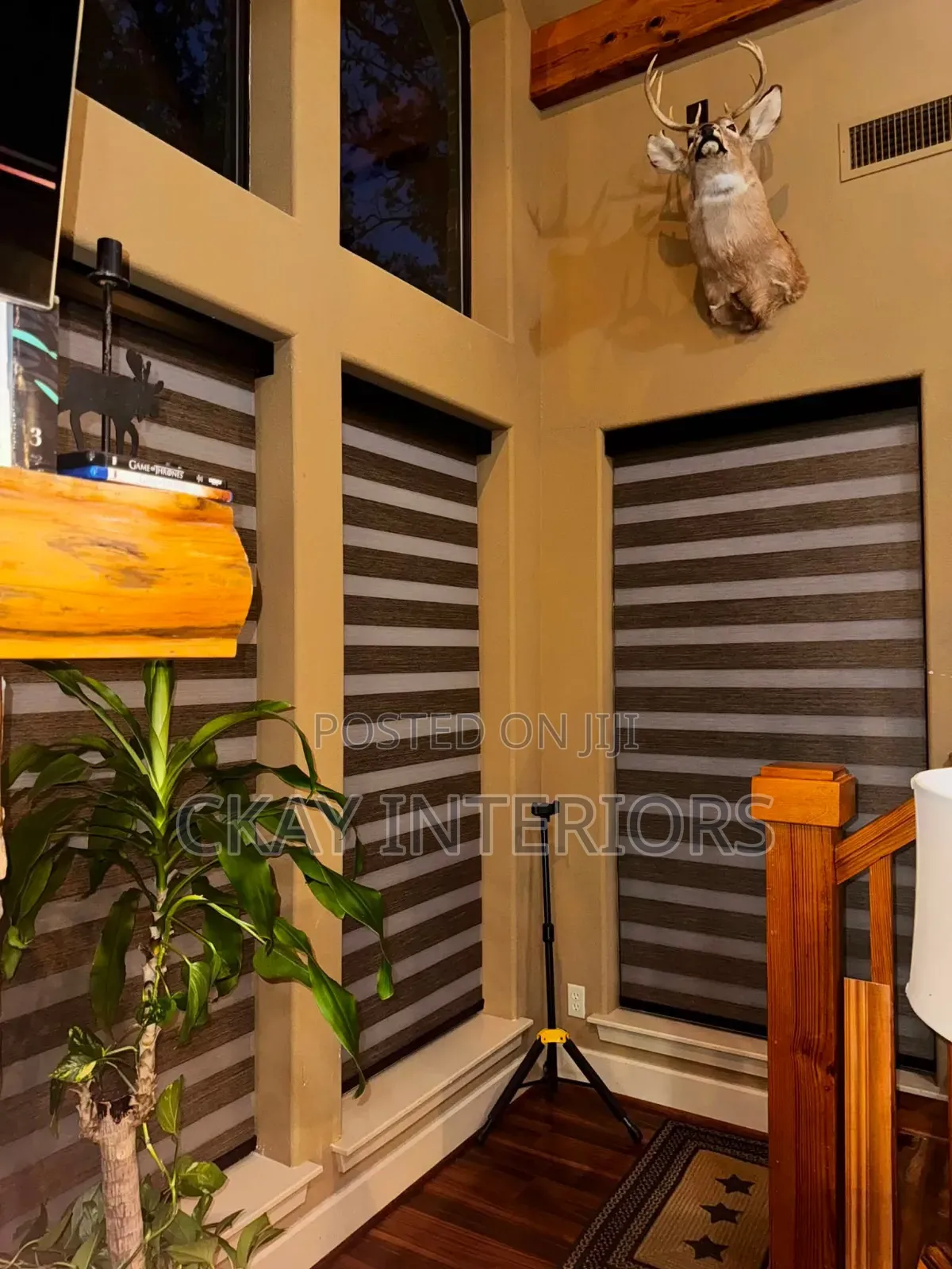 Choose a Window Style That Feels Right for Your Space.